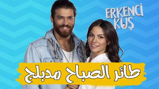 مسلسل طائر الصباح مدبلج الحلقة 161 المائة والحادية والستون